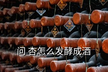 問(wèn) 杏怎么發(fā)酵成酒