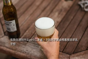 有款白酒叫什么xx小二來著上次和同學聚會喝著夠勁求名字挖