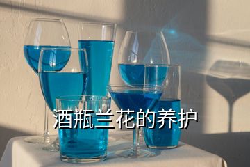 酒瓶蘭花的養(yǎng)護(hù)