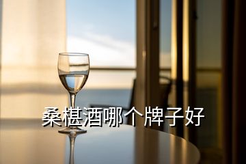 桑椹酒哪個(gè)牌子好