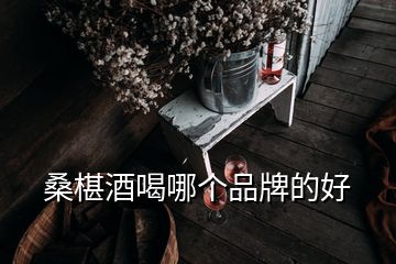 桑椹酒喝哪個(gè)品牌的好