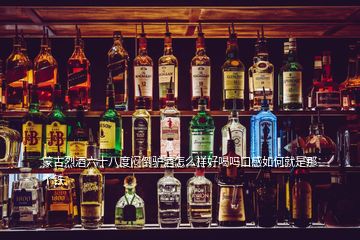 蒙古烈酒六十八度悶倒驢酒怎么樣好喝嗎口感如何就是那個(gè)鐵