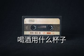 喝酒用什么杯子