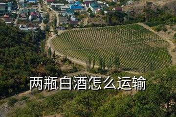 兩瓶白酒怎么運輸