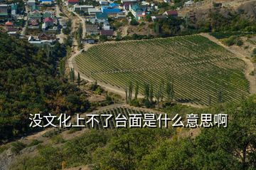 沒(méi)文化上不了臺(tái)面是什么意思啊