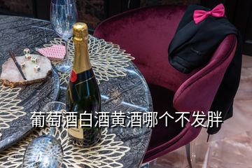 葡萄酒白酒黃酒哪個不發(fā)胖