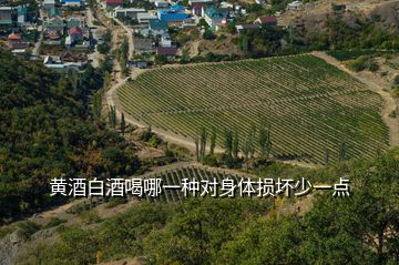 黃酒白酒喝哪一種對身體損壞少一點(diǎn)