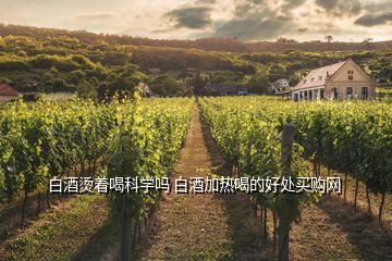 白酒燙著喝科學嗎 白酒加熱喝的好處買購網(wǎng)