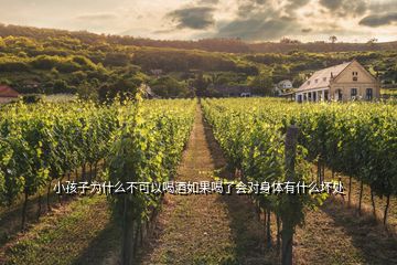 小孩子為什么不可以喝酒如果喝了會對身體有什么壞處
