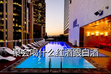 聚會(huì)喝什么紅酒跟白酒
