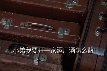 小弟我要開(kāi)一家酒廠酒怎么釀