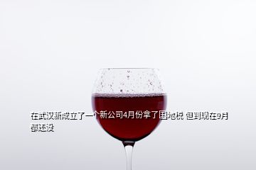 在武漢新成立了一個新公司4月份拿了國地稅 但到現(xiàn)在9月都還沒