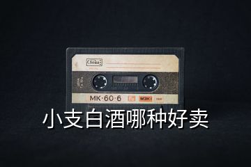 小支白酒哪種好賣(mài)