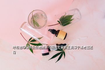 呼和浩特有哪些白酒銷量不錯河套蒙古王奧淳寧城老窖還有