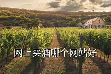 網上買酒哪個網站好