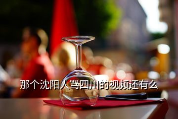 那個沈陽人罵四川的視頻還有么