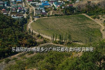 樂器隕的價格是多少廣州花都有賣嗎那洞蕭呢