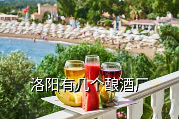 洛陽有幾個(gè)釀酒廠