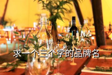 求一個三個字的品牌名