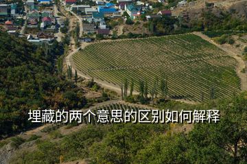 埋藏的兩個(gè)意思的區(qū)別如何解釋