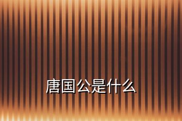唐國(guó)公是什么