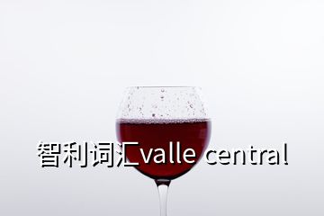 智利詞匯valle central