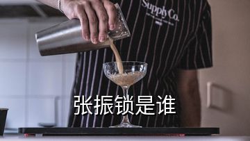 張振鎖是誰(shuí)