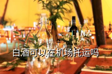 白酒可以在機場托運嗎