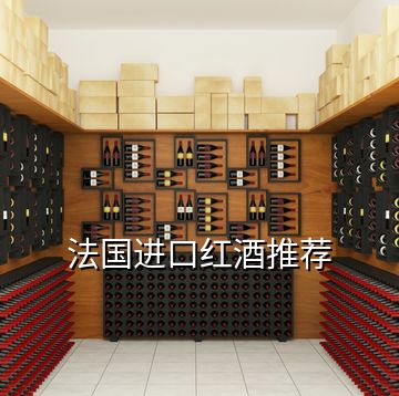 法國(guó)進(jìn)口紅酒推薦