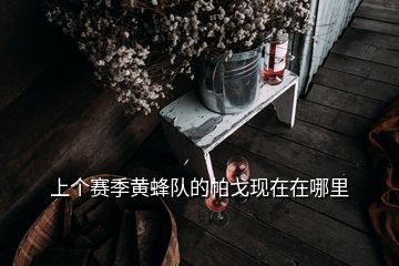 上個賽季黃蜂隊的帕戈現(xiàn)在在哪里
