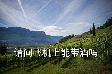 請問飛機(jī)上能帶酒嗎