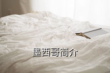 墨西哥簡介
