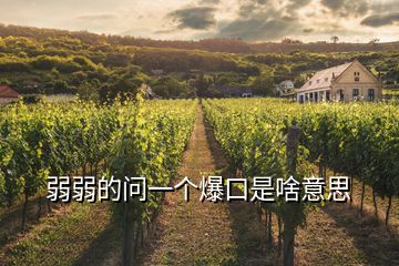 弱弱的問一個(gè)爆口是啥意思