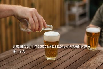 買衣服的尺碼當(dāng)中185104a和185104b分別代表什么意思哪一個大