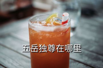 五岳獨尊在哪里
