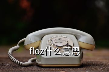 floz什么意思