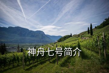神舟七號(hào)簡(jiǎn)介