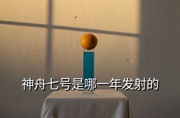 神舟七號(hào)是哪一年發(fā)射的