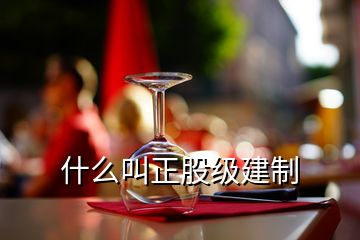 什么叫正股級建制