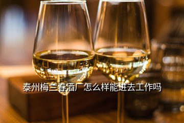 泰州梅蘭春酒廠(chǎng)怎么樣能進(jìn)去工作嗎