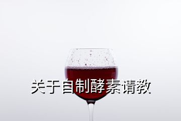 關(guān)于自制酵素請教