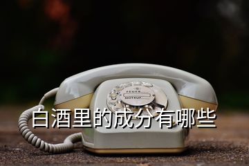 白酒里的成分有哪些