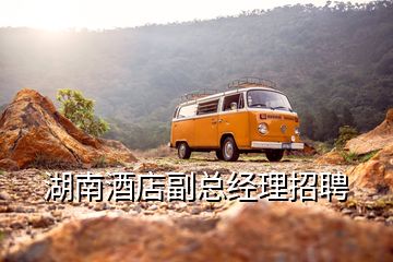 湖南酒店副總經理招聘