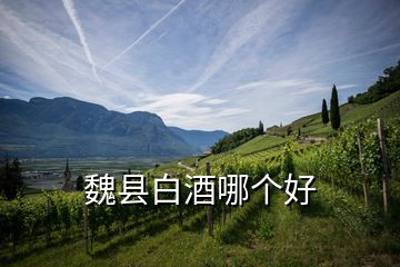 魏縣白酒哪個(gè)好