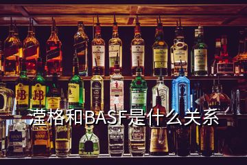 瀅格和BASF是什么關系