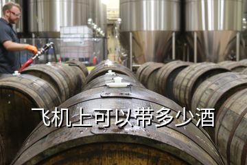 飛機(jī)上可以帶多少酒