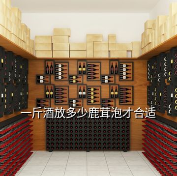 一斤酒放多少鹿茸泡才合適