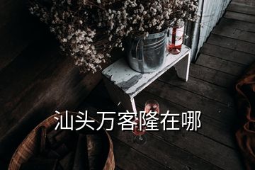 汕頭萬(wàn)客隆在哪