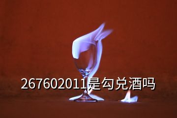 267602011是勾兌酒嗎