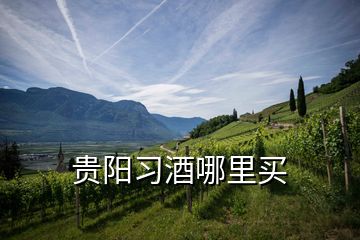 貴陽習(xí)酒哪里買
